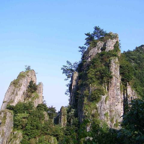 科技護林，走進‘清涼峰’